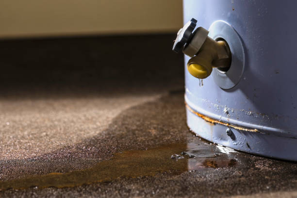 Carpet water damage restoration in Oak Hill, FL