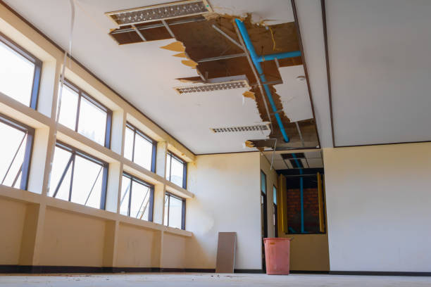 Best Carpet water damage restoration  in Oak Hill, FL