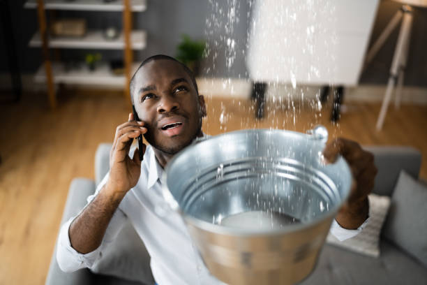 Best 24-hour water damage restoration  in Oak Hill, FL