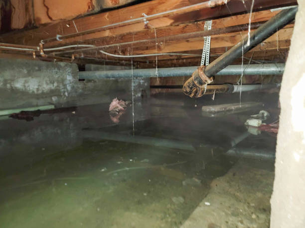 24/7 water damage repair in Oak Hill, FL