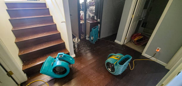 Best Basement water damage restoration  in Oak Hill, FL