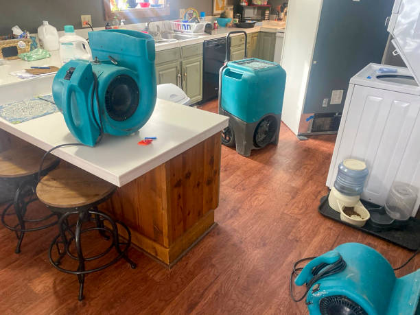 Best 24-hour water damage restoration  in Oak Hill, FL