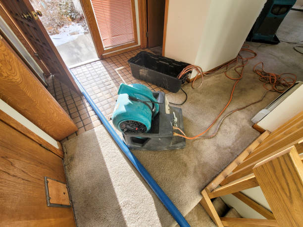 Best Water damage restoration cost  in Oak Hill, FL