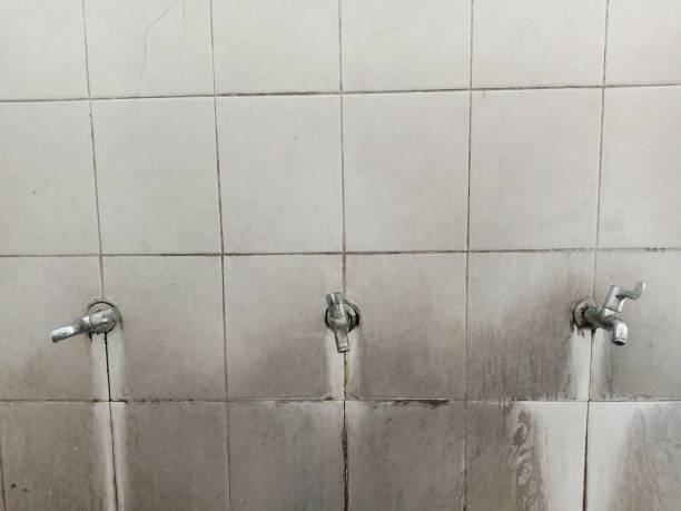 Best Water damage contractors near me  in Oak Hill, FL