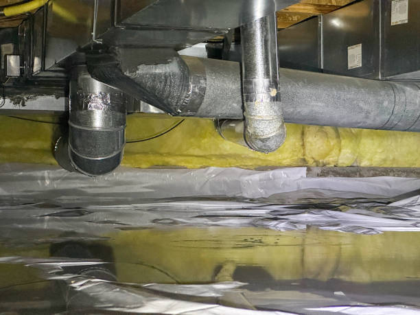 Best Local water damage restoration  in Oak Hill, FL