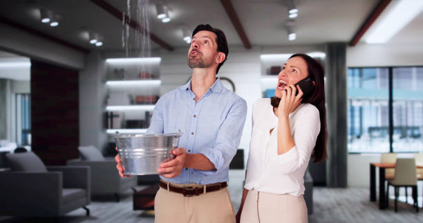 Best Basement water damage restoration  in Oak Hill, FL