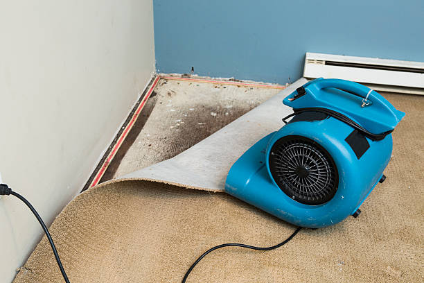 Best Flooded house restoration  in Oak Hill, FL